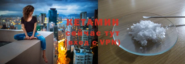 индика Осинники