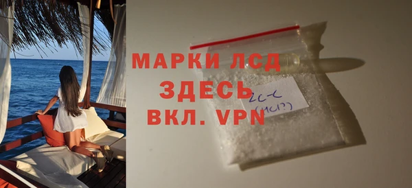 индика Осинники