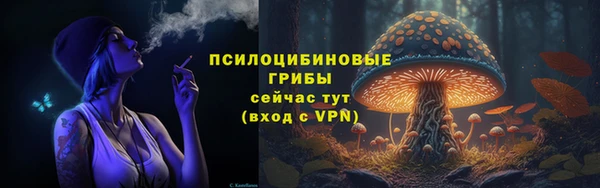тгк Осташков