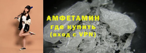индика Осинники