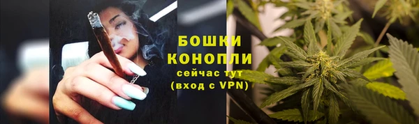 тгк Осташков