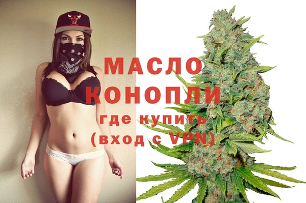 индика Осинники