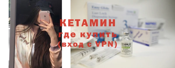 индика Осинники