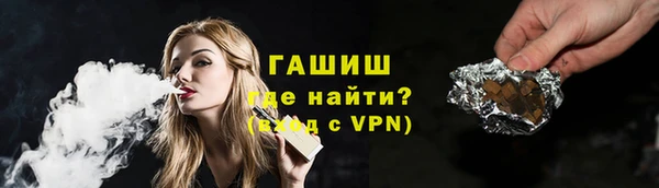 индика Осинники