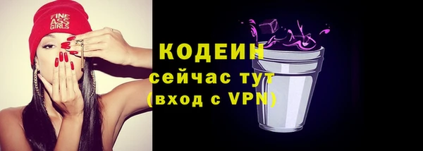 индика Осинники