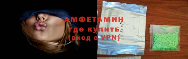 индика Осинники
