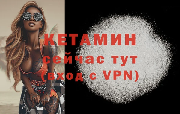 индика Осинники