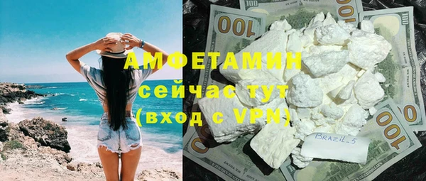 индика Осинники
