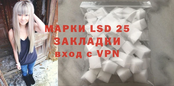 индика Осинники