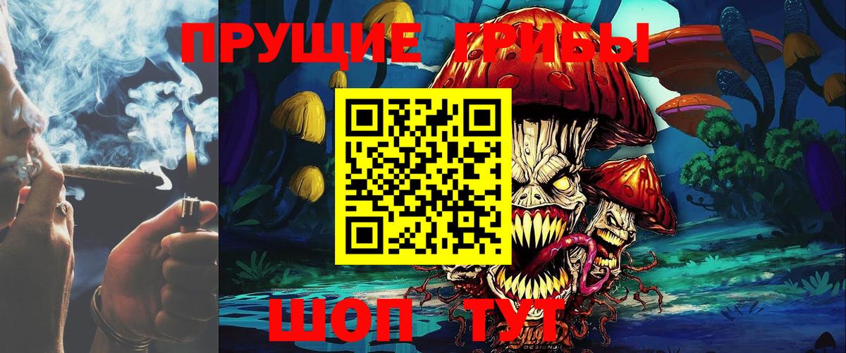 Прокопьевск  Псилоцибиновые грибы прущие грибы  Вход с VPN 